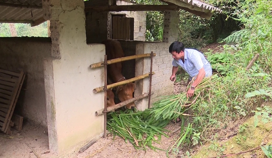 Hướng phát triển kinh tế cho người dân vùng sâu, vùng xa Hướng phát triển kinh tế cho người dân vùng sâu, vùng xa