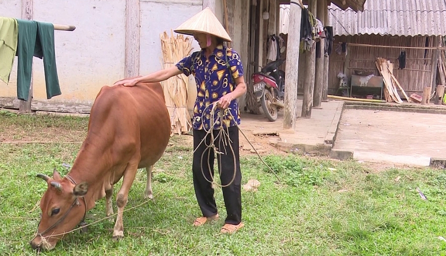 Hướng phát triển kinh tế cho người dân vùng sâu, vùng xa Hướng phát triển kinh tế cho người dân vùng sâu, vùng xa