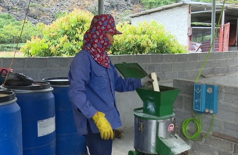 Chủ động sản xuất nông nghiệp khi thời tiết rét đậm (Cam 17/12) Chủ động sản xuất nông nghiệp khi thời tiết rét đậm (Cam 17/12)