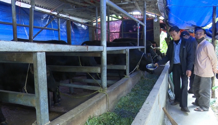 Hiệu quả từ nguồn vốn tín dụng ưu đãi Hiệu quả từ nguồn vốn tín dụng ưu đãi