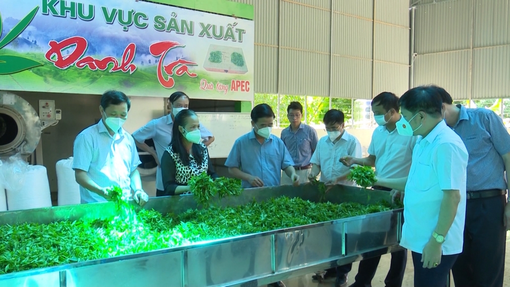 Lãnh đạo tỉnh kiểm tra sản xuất nông nghiệp tại huyện Đại Từ Lãnh đạo tỉnh kiểm tra sản xuất nông nghiệp tại huyện Đại Từ