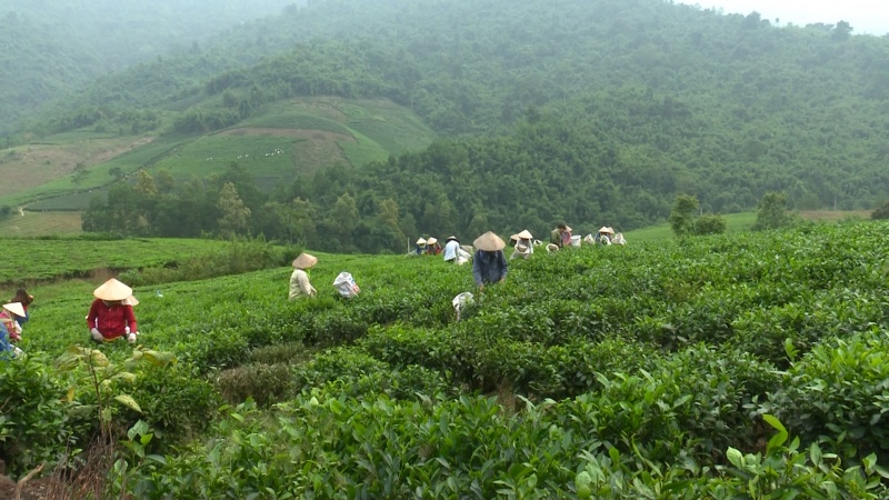 Văn hóa, du lịch trong Đề án Chương trình OCOP tỉnh Thái Nguyên