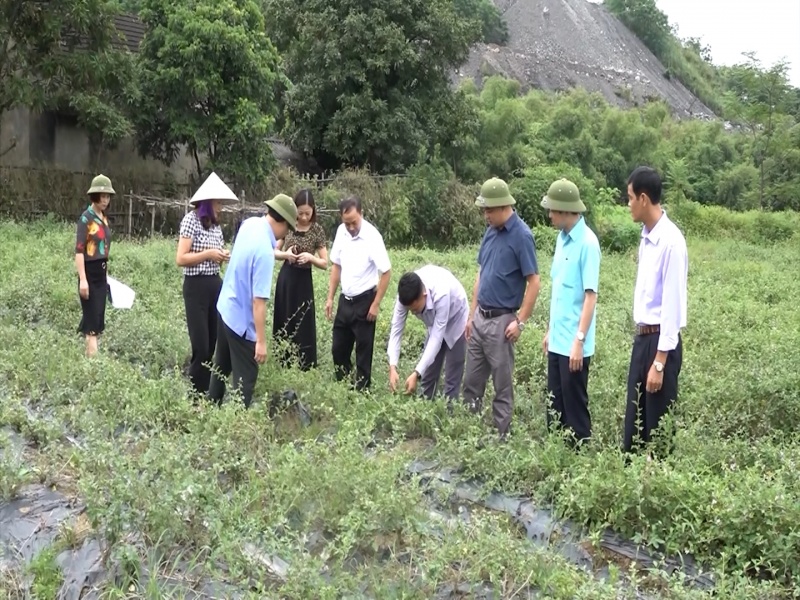 dang bo huyen phu luong chi dao thuc hien cac de an du an trong diem phat ts toi 226