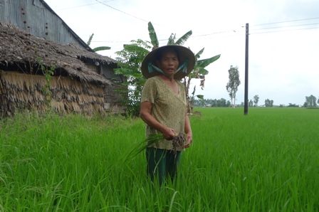 Trước ngày tựu trường, bé Ngọc Trinh lo lắng sợ không được đi học vì bà ngoại không có tiền