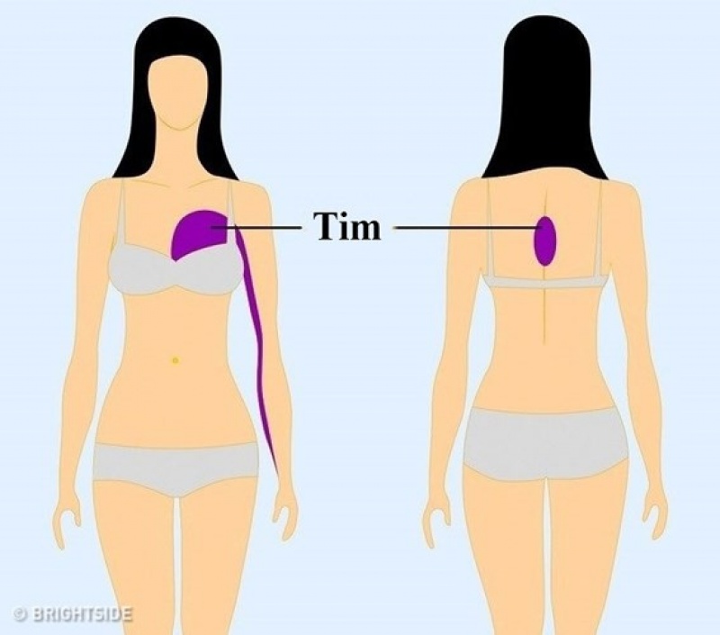 9 cơn đau vô cùng nguy hiểm nhất định không được bỏ qua