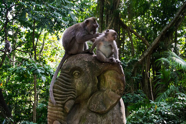 toi xu van dao khong the khong ghe tham nhung vung dat ky thu nay