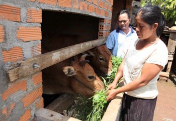 Đồng bào Đắk Lắk không phải vay nặng lãi nhờ tín dụng chính sách