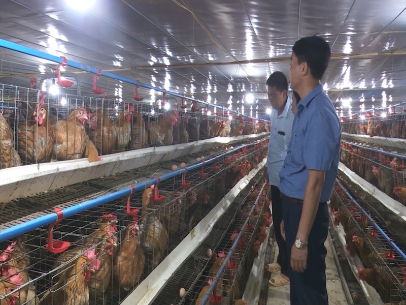 Phú Bình: Xây dựng Nông thôn mới - tạo đòn bẩy phát triển kinh tế, xã hội phu binh xay dung nong thon moi tao don bay phat trien kinh te xa hoi