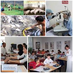 Chỉ đạo, điều hành của Chính phủ, Thủ tướng Chính phủ nổi bật tuần từ 9-13/1