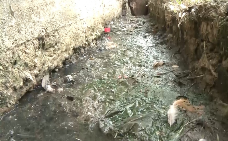 giet mo gia cam khong du dieu kien ngang nhien ton tai o phu binh