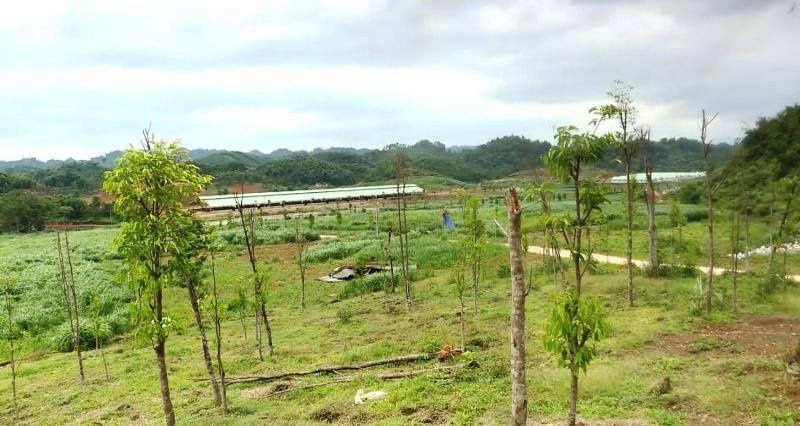 an ninh khong dam bao gay kho khan cho don vi dau tu tai xa phuong tien dinh hoa