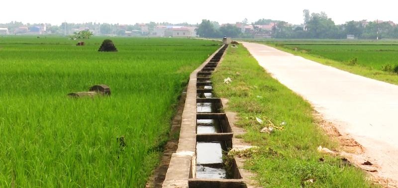 phu binh di vao thuc hien xay dung canh dong mau lon