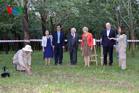 tong thong ireland michael d higgins tham tinh quang tri