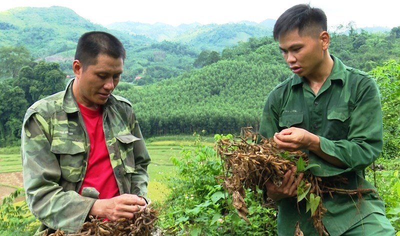 Thức ăn chăn nuôi nội: thua trắng khâu nguyên liệu thuc an chan nuoi noi thua trang khau nguyen lieu