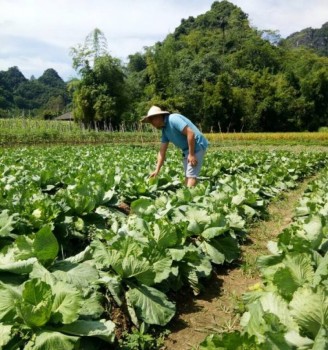 Công bố các Đề án nông nghiệp và PTNT giai đoạn 2017 – 2020