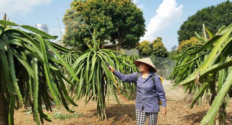 che pham sinh hoc em nguoi ban dong hanh cua nha nong