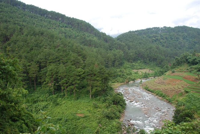 dich vu moi truong rung khuyen khich nguoi dan bao ve rung