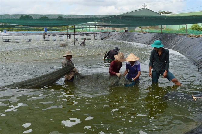 khi trung quoc khong con la thi truong de tinh