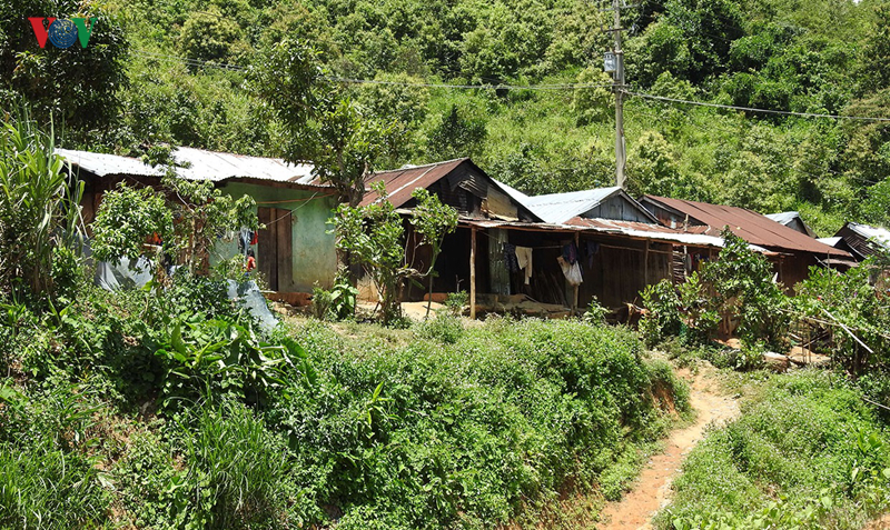 hang loat thuy dien chet lam sang o huyen ngheo dak glei kon tum