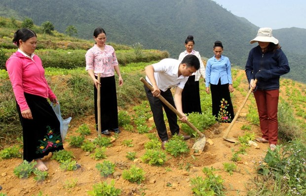 lai chau khuyen khich lien ket san xuat tieu thu nong san