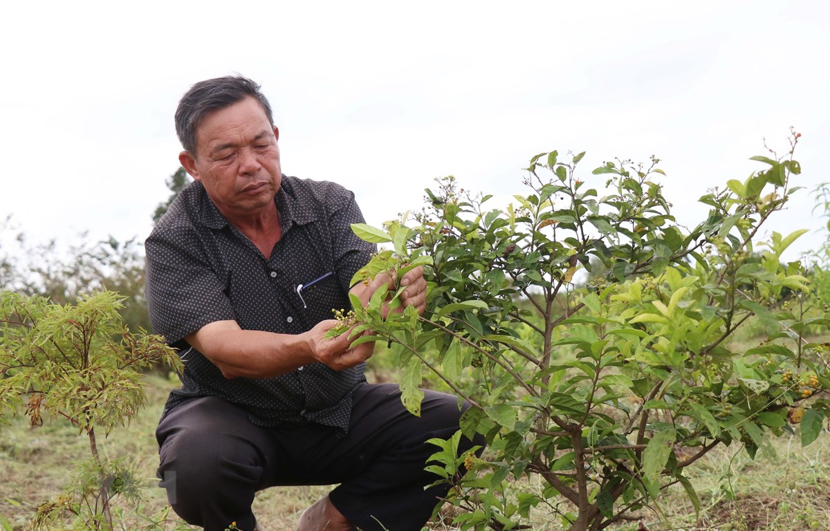 Người truyền cảm hứng cho nông dân hướng đến sản xuất nông nghiệp sạch