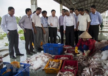 Việt Nam thực hiện hiệu quả các khuyến nghị của Ủy ban châu Âu về IUU