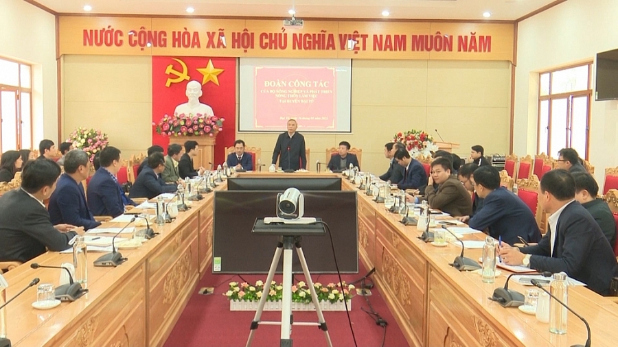 Xây dựng chuỗi sản xuất thịt lợn an toàn tại Thái Nguyên