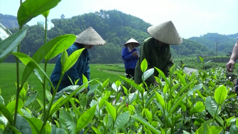 xay dung nong thon moi dau an nhiem ky cua dang bo huyen phu luong