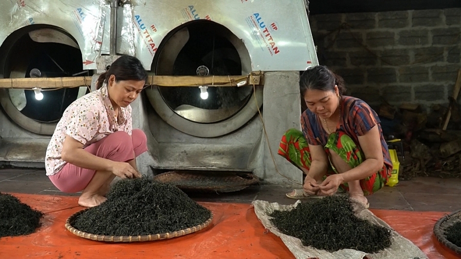 Tín dụng chính sách, đồng hành phát triển kinh tế nông thôn Tín dụng chính sách, đồng hành phát triển kinh tế nông thôn