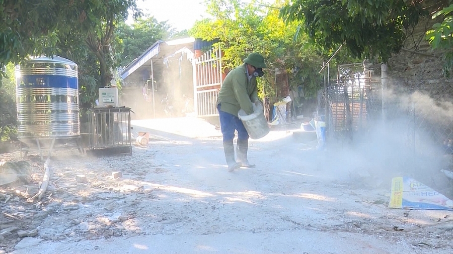 Quyết liệt phòng, chống dịch tả lợn châu Phi Quyết liệt phòng, chống dịch tả lợn châu Phi