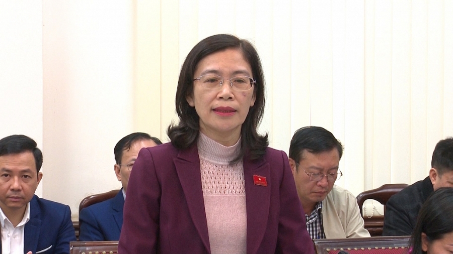 Thảo luận, cho ý kiến vào các nội dung chuyên đề trình tại Kỳ họp thứ 12, HĐND tỉnh Thái Nguyên khóa XIII Thảo luận, cho ý kiến vào các nội dung chuyên đề trình tại Kỳ họp thứ 12, HĐND tỉnh Thái Nguyên khóa XIII