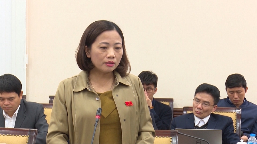 Thảo luận, cho ý kiến vào các nội dung chuyên đề trình tại Kỳ họp thứ 12, HĐND tỉnh Thái Nguyên khóa XIII Thảo luận, cho ý kiến vào các nội dung chuyên đề trình tại Kỳ họp thứ 12, HĐND tỉnh Thái Nguyên khóa XIII