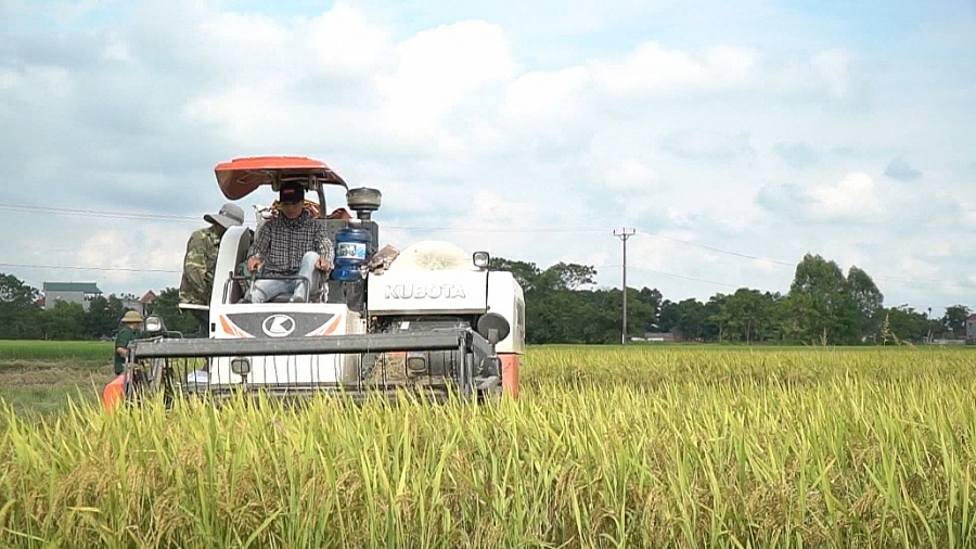 Nông nghiệp Thái Nguyên nỗ lực vượt khó