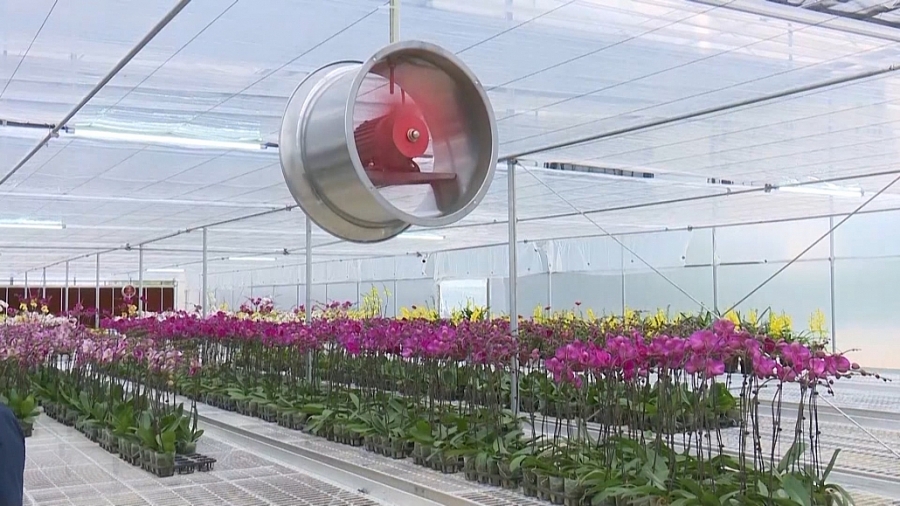 Nông nghiệp Thái Nguyên nỗ lực vượt khó