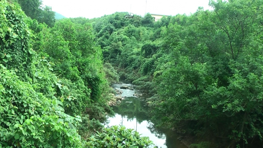 Vấn đề ô nhiễm môi trường trại chăn nuôi ở thị trấn Quân Chu Vấn đề ô nhiễm môi trường trại chăn nuôi ở thị trấn Quân Chu