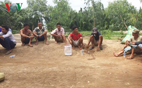 triet pha hai truong ga quy mo lon tai tien giang