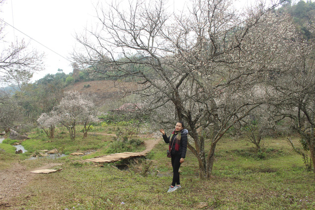 lac vao thien duong mua mo trang o moc chau