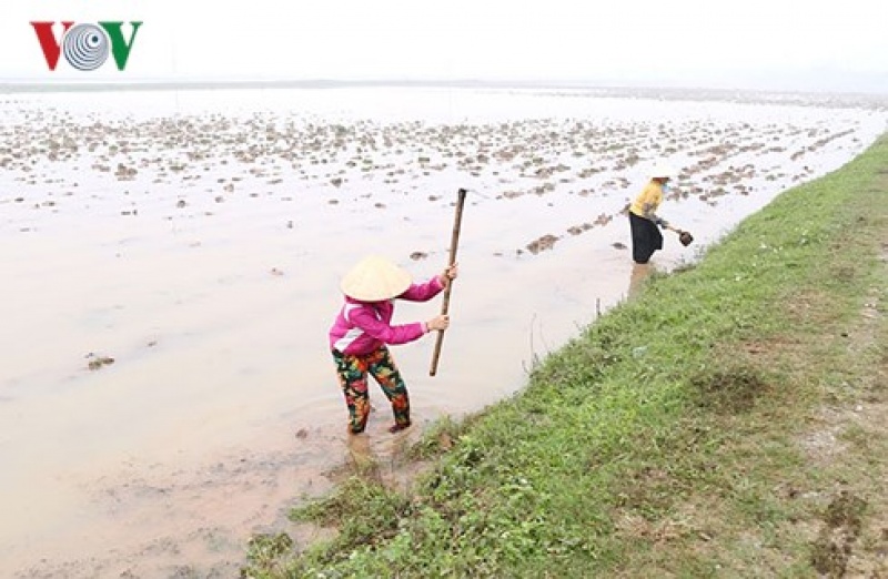 Nước đổ ải thau rửa ô nhiễm trên sông Nhuệ nuoc do ai thau rua o nhiem tren song nhue