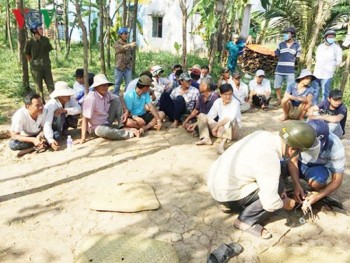 Bắt giữ 36 đối tượng đá gà ăn tiền ở Tiền Giang