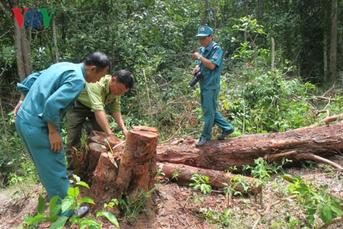 khu rung o ta cu bi dau doc bang hoa chat trong thuoc diet co