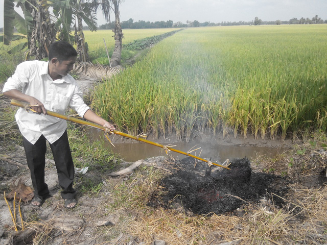 ve mien tay dung quen thuong thuc ca loc dong nuong rom