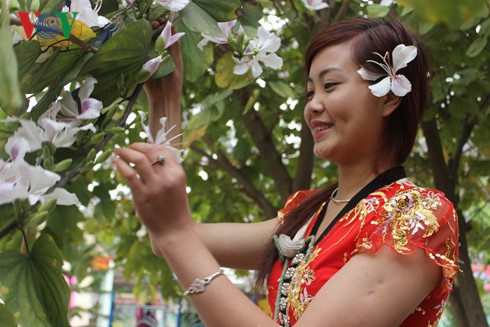 le hoi hoa ban dien bien 2017 co hoi xuc tien dau tu du lich