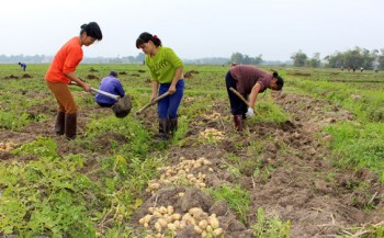 Tân Đức huy động sức dân nỗ lực về đích