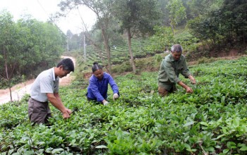 Đoàn kết xây dựng đời sống mới