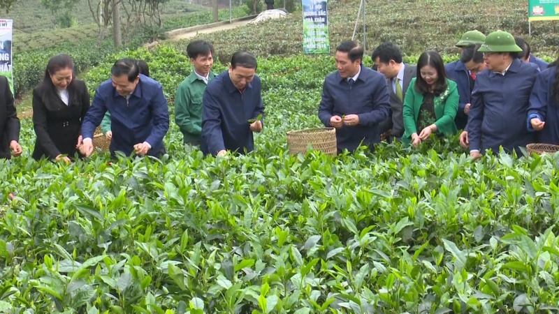 Sôi nổi Lễ hội "Hương sắc trà xuân - Vùng chè đặc sản Tân Cương" năm 2018 soi noi le hoi huong sac tra xuan vung che dac san tan cuong nam 2018