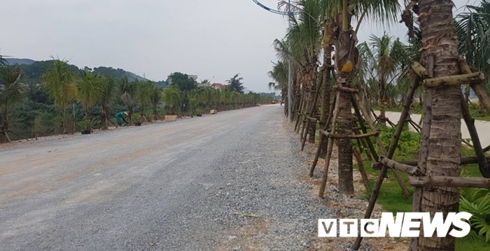 nhom nguoi gia danh can bo van phong chinh phu co moi dat o van don