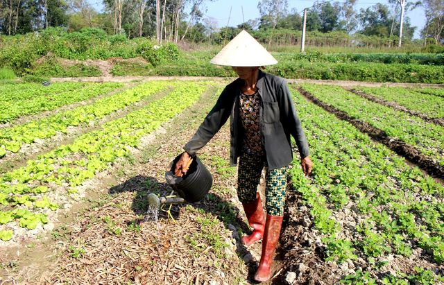 bot la noi day dac nhu bong troi den dau ca chet den do