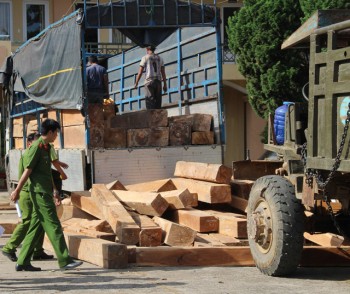 Mật phục bắt 2 xe gỗ lậu trong một đêm