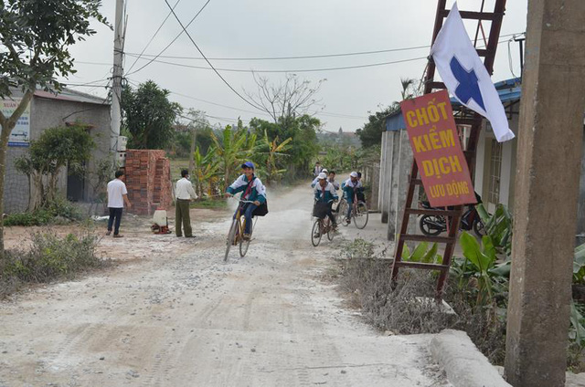 nam dinh lap chot rai 3 tan voi bot khap xa dap dich cum h5n1