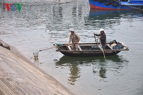 o nhiem moi truong vinh ha long can su vao cuoc tu nhieu phia